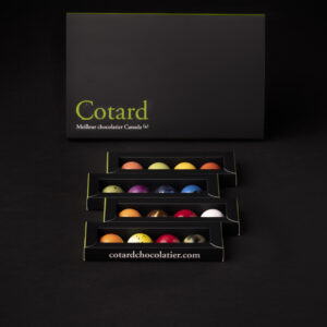 Boîte de 16 chocolats garnis