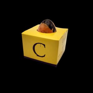 A-25x  Small milk chocolate egg garnished with three shellfish, available while stocks last (3 to 4 weeks delivery time)