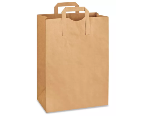 Z- 300 X Kraft Bag 12x7x17  S-20659