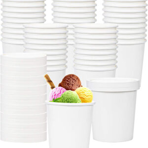 B-60x 500ml Ice Cream Container and Lid