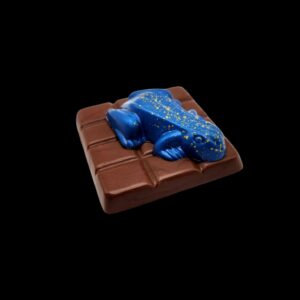 A-24x Tablette grenouille couleurs variées chocolat au lait