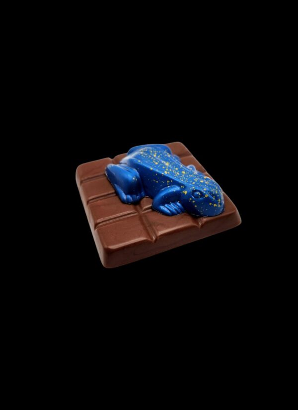 A-24x Tablette grenouille couleurs variées chocolat au lait