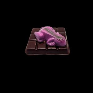 A-24x Tablette grenouille couleurs variées chocolat noir