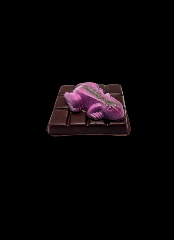 A-24x Tablette grenouille couleurs variées chocolat noir