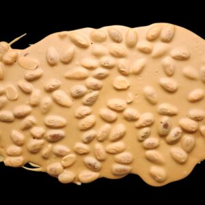 Caramel chocolate almond bark (packaged in bags) - To be wrapped - 12 boxes