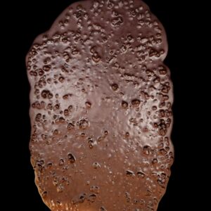 Dark chocolate blueberries bark (packaged in bags) - To be wrapped - 12 boxes