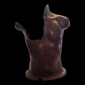 A- Dark chocolate male torso (3 to 4 weeks delivery time), collection from the Academy only